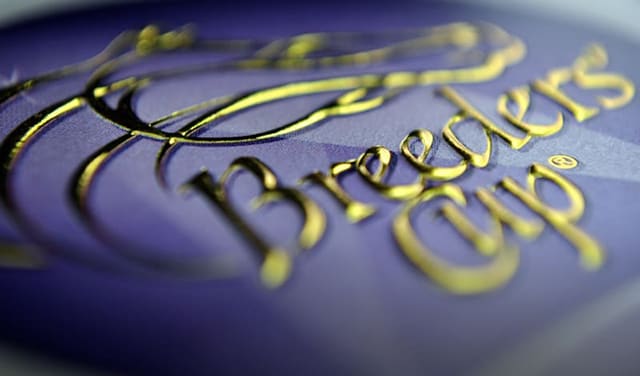 Close up image of a foil stamped business card